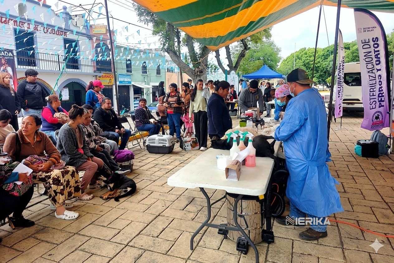 GOBIERNO DE ALFONSO SÁNCHEZ GARCÍA REALIZA EXITOSA JORNADA DE ESTERILIZACIÓN CANINA Y FELINA EN OCOTLÁN