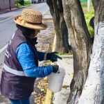 La brigada de MásTerritorio estuvo presente en la comunidad de San Diego Metepec