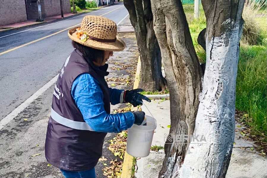 La brigada de MásTerritorio estuvo presente en la comunidad de San Diego Metepec