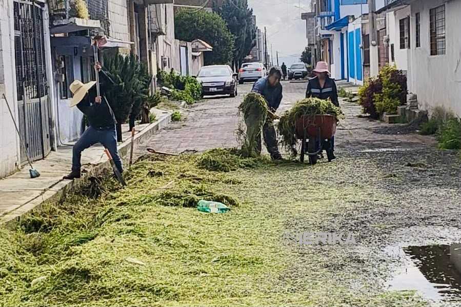 Brigadas de “Más Territorio” nivelan adoquín en Miraflores y realizan faena en San Gabriel Cuauhtla