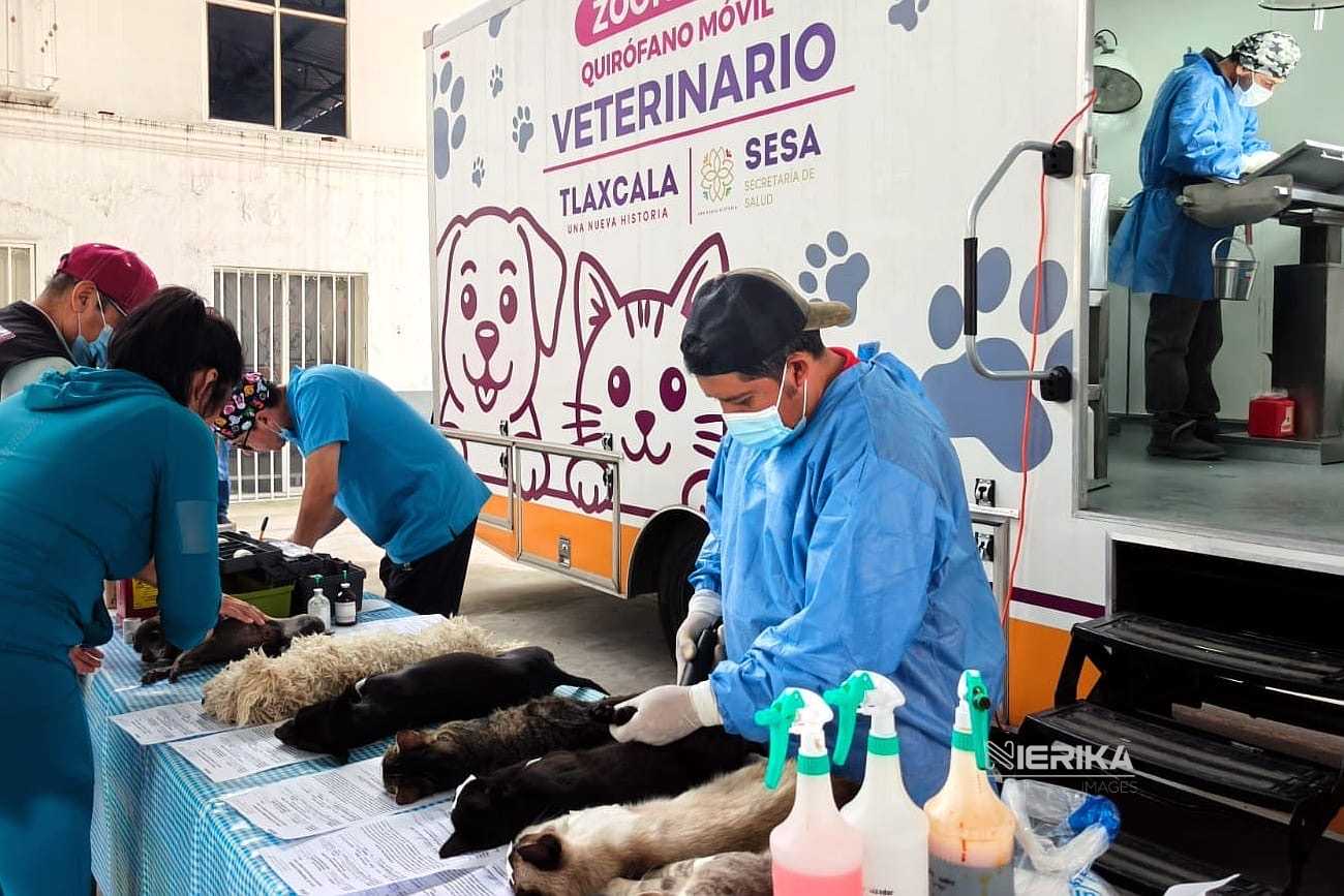 AVANZA CON ÉXITO CAMPAÑA GRATUITA DE ESTERILIZACIÓN CANINA Y FELINA EN LA CAPITAL; ESTE JUEVES ESTUVO EN CHIMALPA