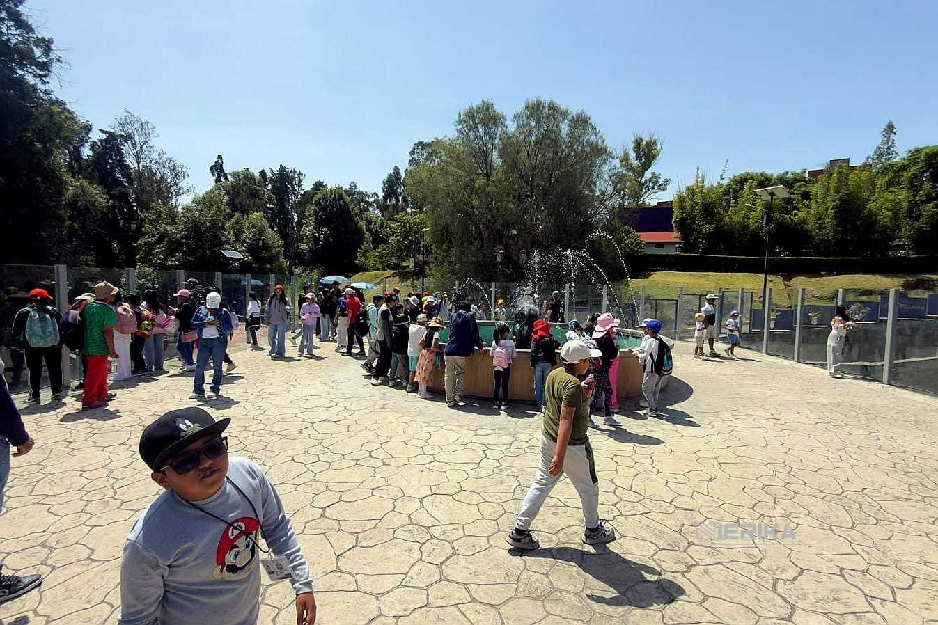 VERANO DEPORTIVO TLAXCALA 2026 LLEGA A SU SEGUNDA SEMANA Y SE CONVIERTE EN UN ESPACIO DE APRENDIZAJE Y DIVERSIÓN