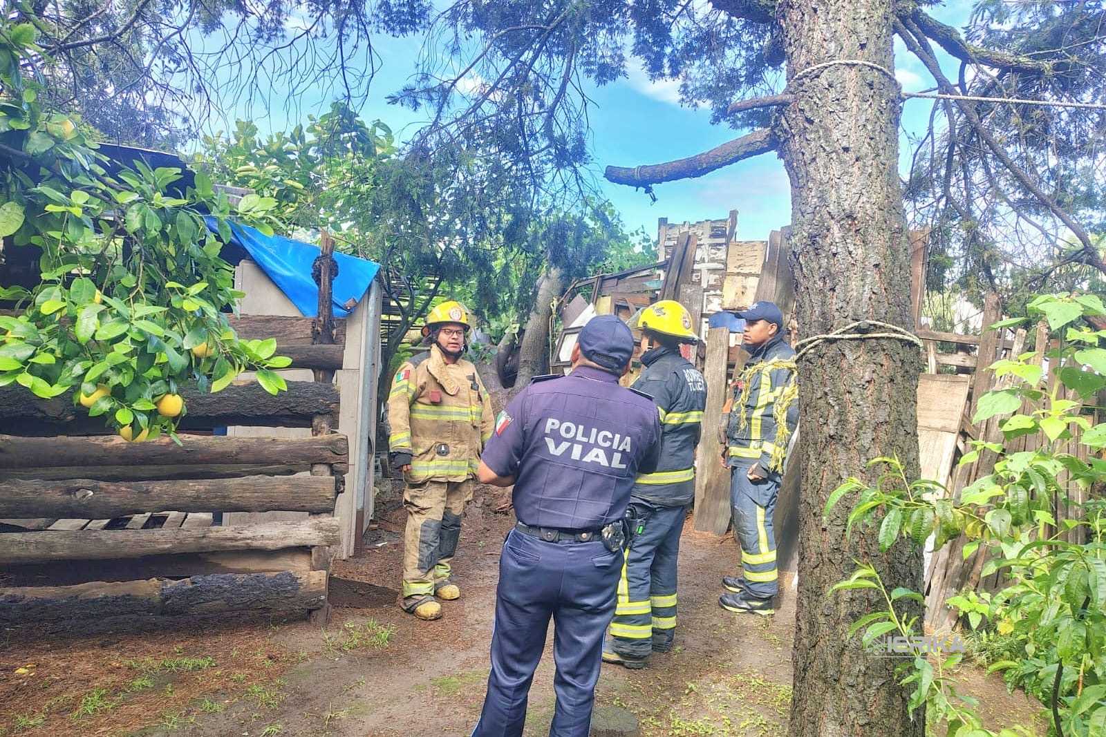 PREVIENEN POLICÍA MUNICIPAL Y PROTECCIÓN CIVIL DE LA CAPITAL POSIBLE ACCIDENTE POR ÁRBOL EN RIESGO DE CAER EN ATEMPAN