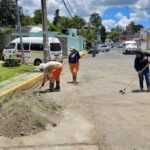 Brigadas de “Más Territorio” realizan faenas de limpieza, poda y bacheo en Cuarto Señorío, Tepehitec y Tlapancalco