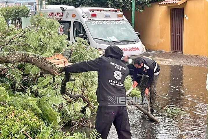 TRAS INTENSA LLUVIA SE ACTIVA RESPUESTA INMEDIATA DE LAS BRIGADAS MUNICIPALES EN LA CAPITAL