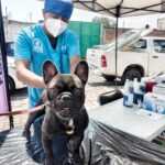 AYUNTAMIENTO DE TLAXCALA ACERCARÁ SERVICIOS DE SALUD ANIMAL A SAN GABRIEL CUAUHTLA Y TIZATLÁN EN SEPTIEMBRE