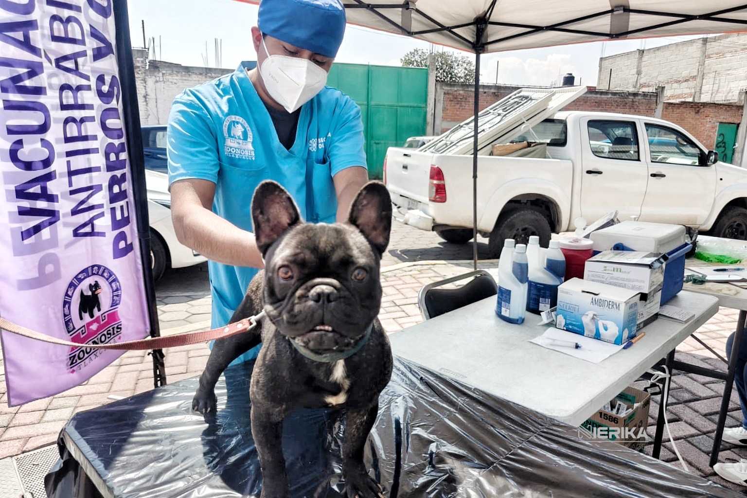 AYUNTAMIENTO DE TLAXCALA ACERCARÁ SERVICIOS DE SALUD ANIMAL A SAN GABRIEL CUAUHTLA Y TIZATLÁN EN SEPTIEMBRE