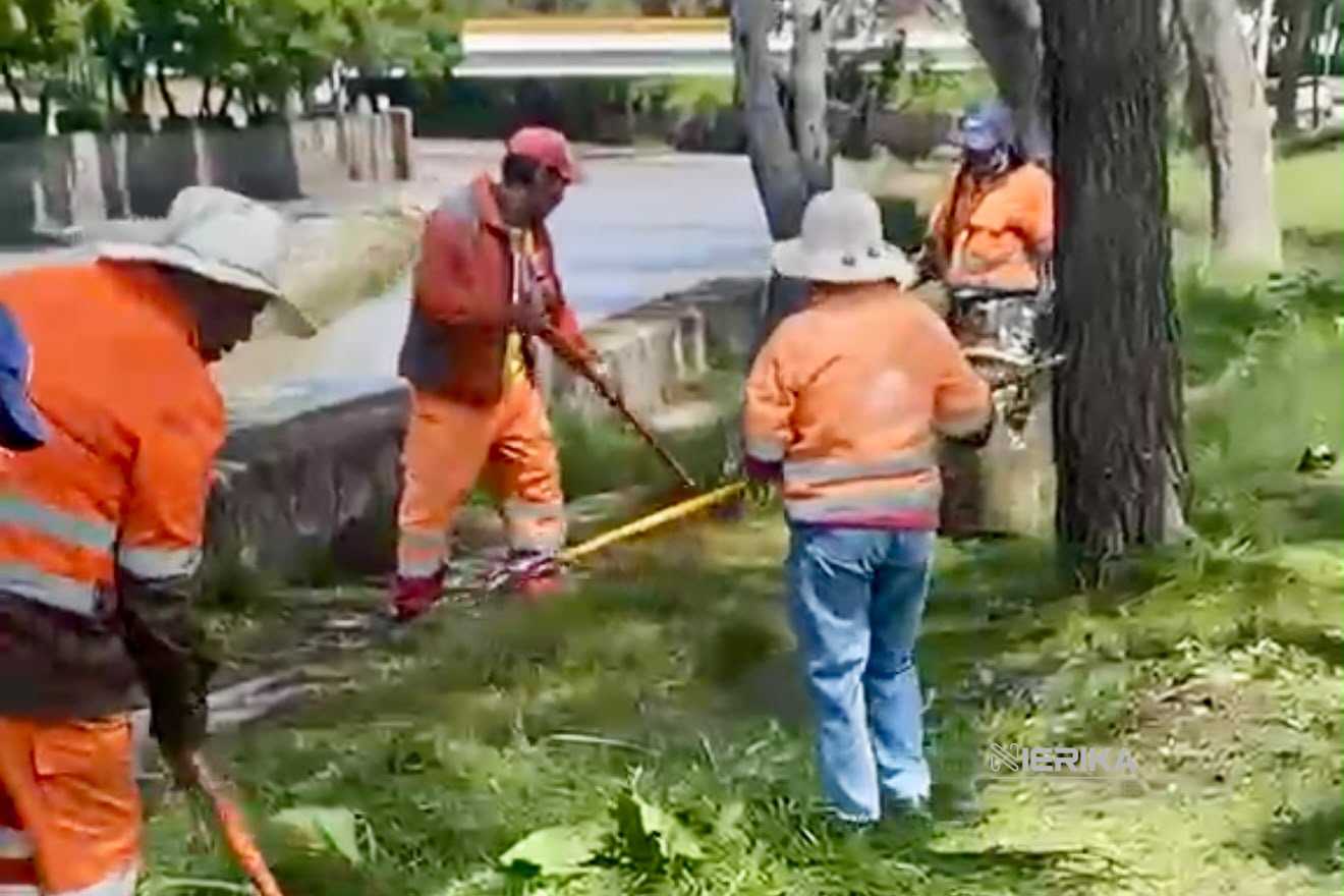 Brigadas de “Más Territorio” reparan estructura en riesgo en Tlapancalco y realizan poda en La Ribereña