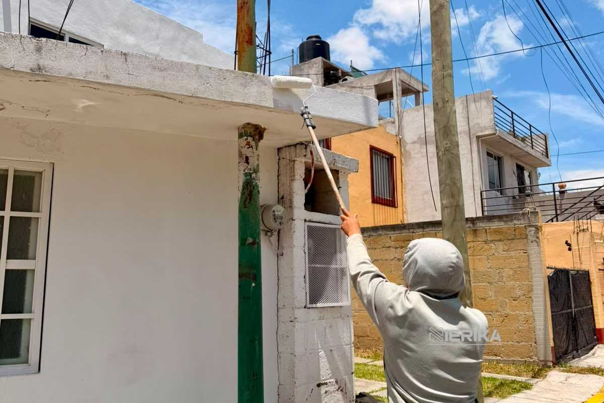 Brigadas de “Más Territorio” esterilizan mascotas en Ixtulco y pintan salón de usos múltiples en Girasoles