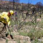 JORNADA NACIONAL DE REFORESTACIÓN EN TLAXCALA INICIARÁ A LAS 9:00 HORAS DESDE ATLTZAYANCA