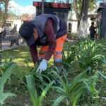 SERVICIOS PÚBLICOS DE LA CAPITAL DA MANTENIMIENTO A ÁREAS VERDES DE LA PLAZA XICOHTÉNCATL