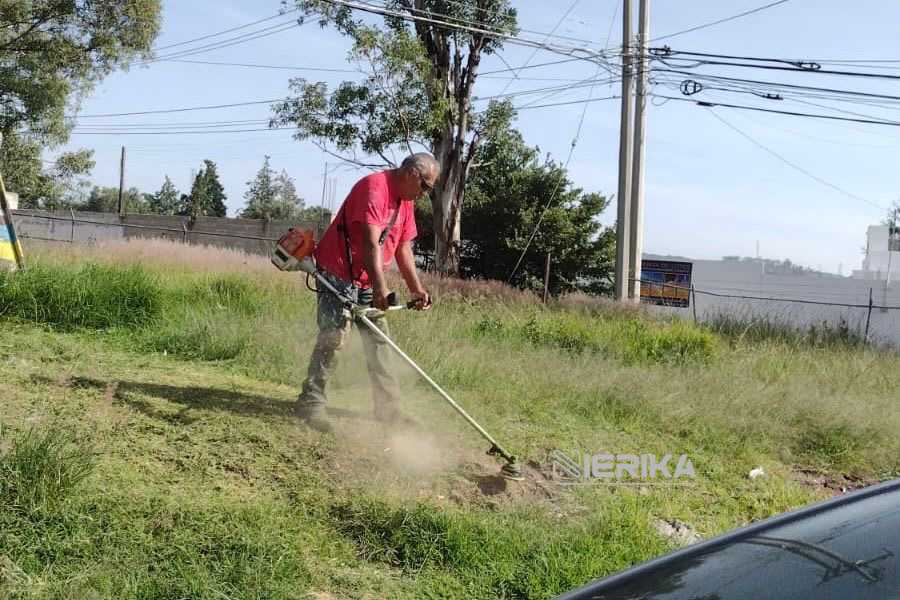Brigadas de Más Territorio recuperan espacios públicos en Ocotlán y Tlacomulco