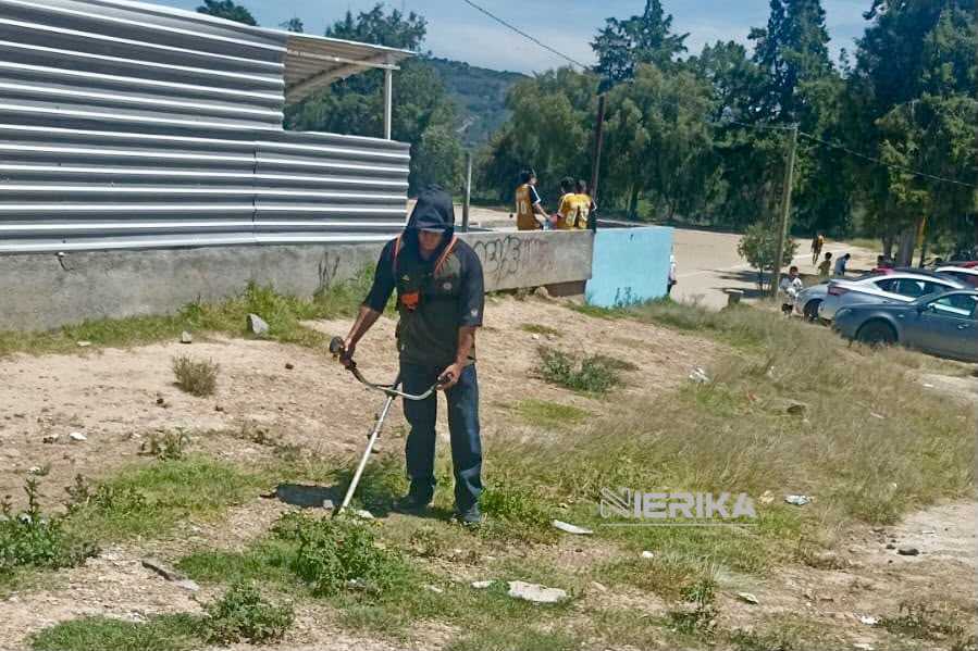 Brigadas del programa Más Territorio realizan trabajos de poda en los campos deportivos de Ocotlán