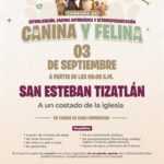 ESTE MIÉRCOLES Y JUEVES LLEGARÁ LA CAMPAÑA DE BIENESTAR ANIMAL DEL AYUNTAMIENTO DE TLAXCALA A SAN GABRIEL CUAUHTLA Y TIZATLÁN