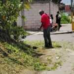 Brigadas del programa Más Territorio realizan una faena de limpieza y mantenimiento sobre la avenida Juárez, en el barrio de Tlacomulco