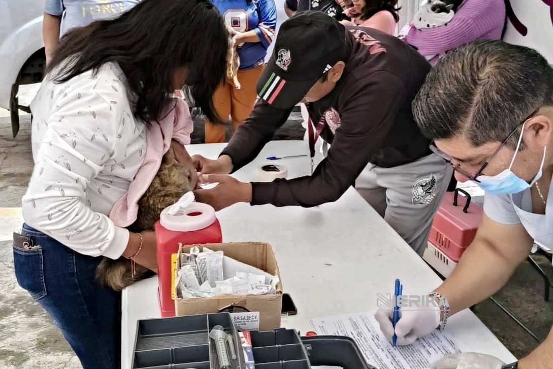 CONCLUYE CON ÉXITO JORNADA DE BIENESTAR ANIMAL EN TIZATLÁN Y SAN GABRIEL CUAUHTLA; MAÑANA LLEGARÁ A ATEMPAN