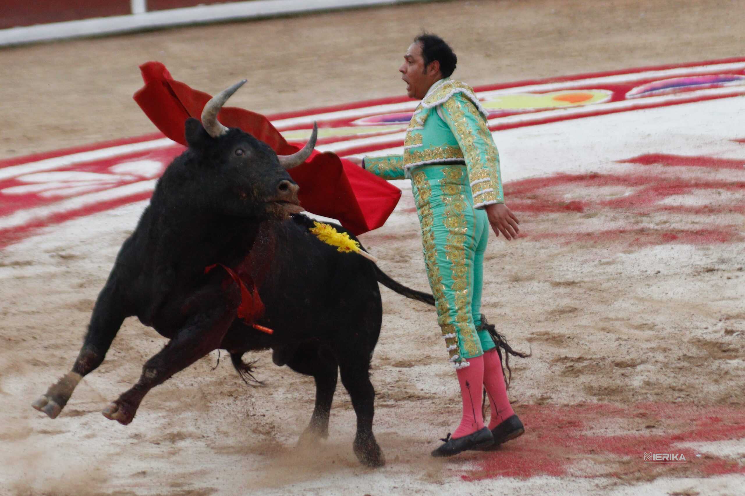 José Luis Angelino se despide de los ruedos