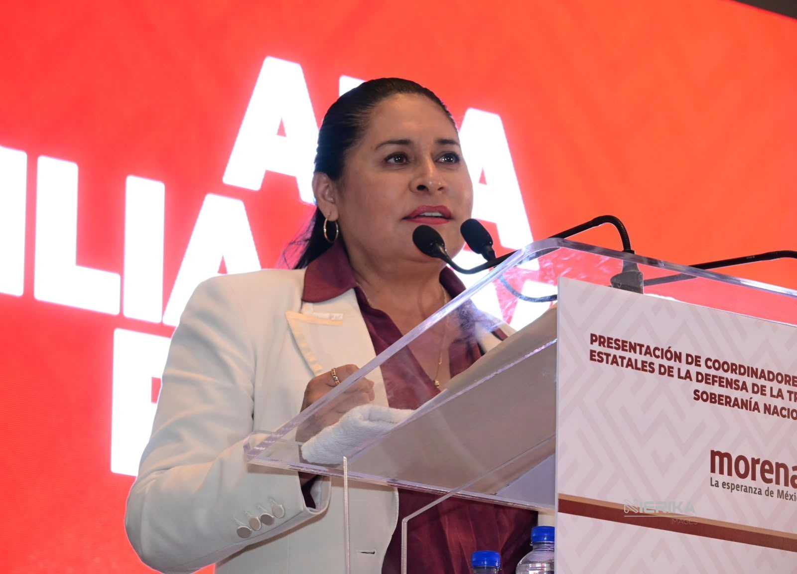 Ana Lilia Rivera llama a construir y organizar trabajo territorial en unidad